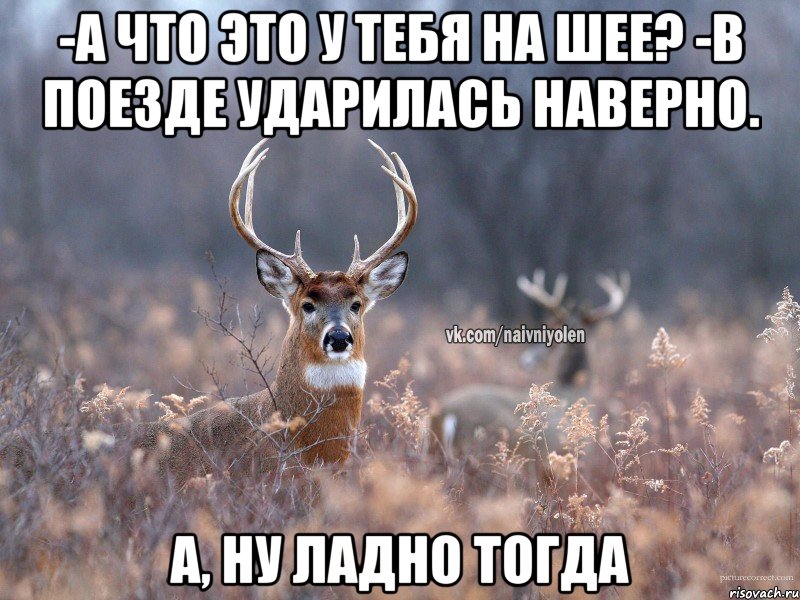 -А что это у тебя на шее? -В поезде ударилась наверно. А, ну ладно тогда, Мем   Наивный олень