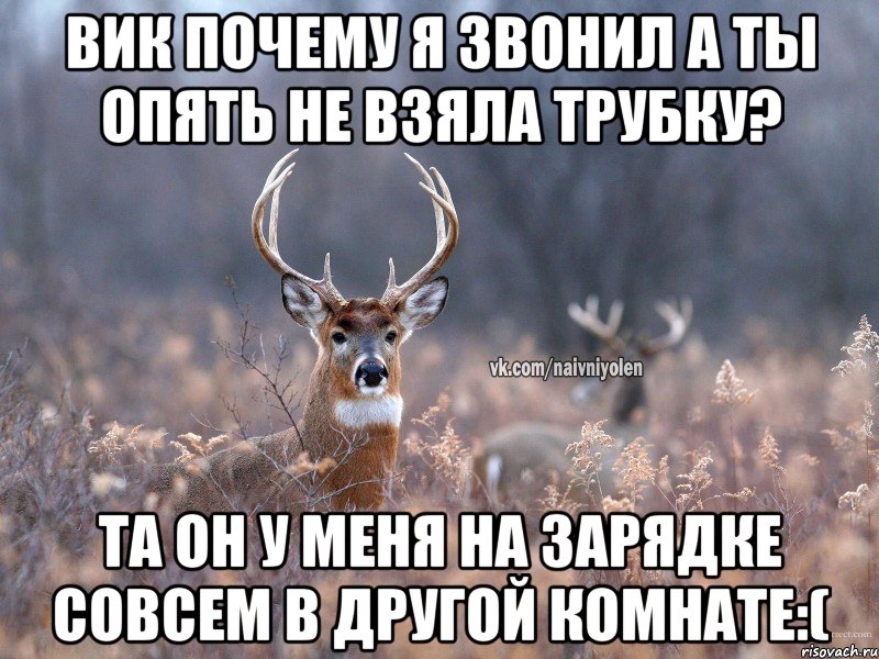 Вик почему я звонил а ты опять не взяла трубку? та он у меня на зарядке совсем в другой комнате:(, Мем   Наивный олень