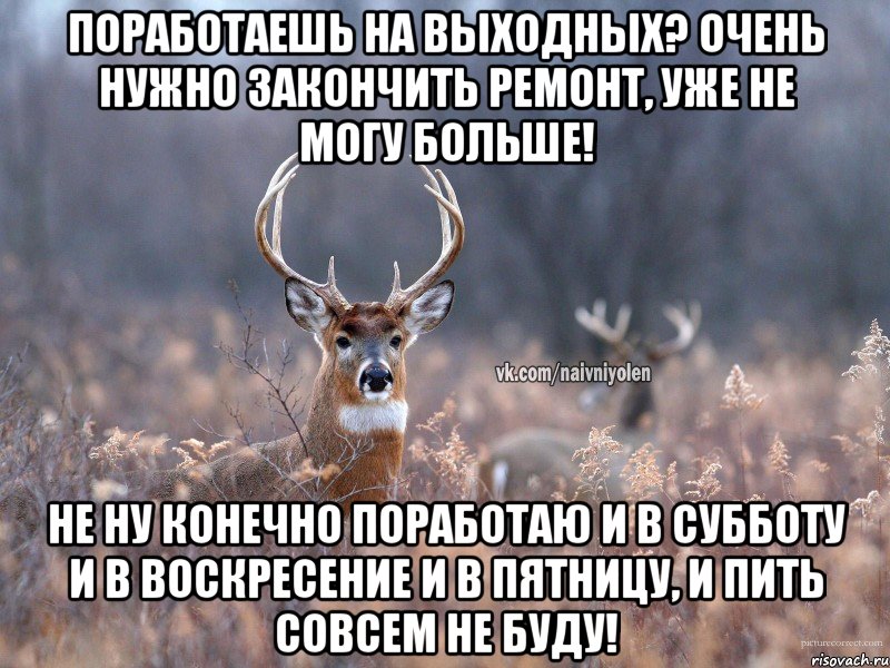 Поработаешь на выходных? Очень нужно закончить ремонт, уже не могу больше! Не ну конечно поработаю и в субботу и в воскресение и в пятницу, и пить совсем не буду!, Мем   Наивный олень