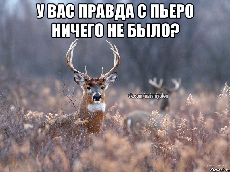 У вас правда с Пьеро ничего не было? , Мем   Наивный олень