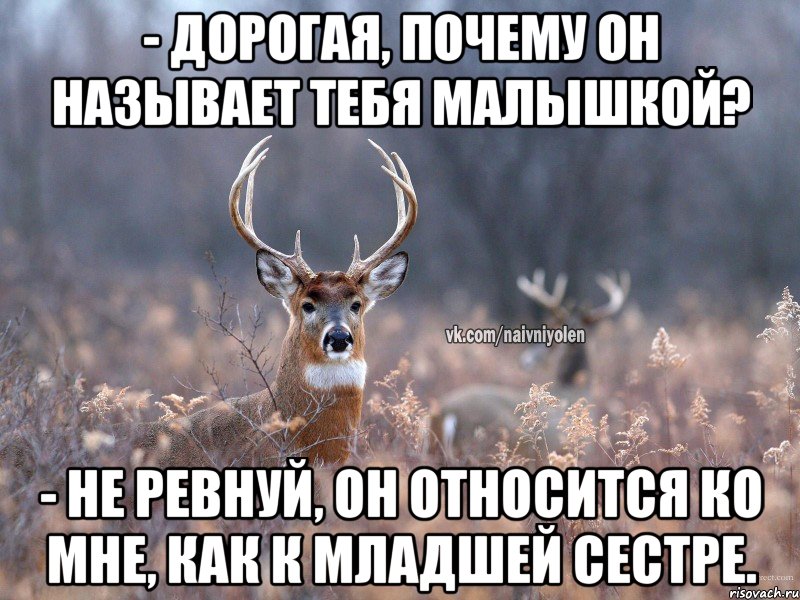 - ДОРОГАЯ, ПОЧЕМУ ОН НАЗЫВАЕТ ТЕБЯ МАЛЫШКОЙ? - НЕ РЕВНУЙ, ОН ОТНОСИТСЯ КО МНЕ, КАК К МЛАДШЕЙ СЕСТРЕ., Мем   Наивный олень