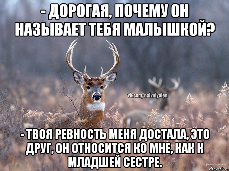 - ДОРОГАЯ, ПОЧЕМУ ОН НАЗЫВАЕТ ТЕБЯ МАЛЫШКОЙ? - ТВОЯ РЕВНОСТЬ МЕНЯ ДОСТАЛА, ЭТО ДРУГ, ОН ОТНОСИТСЯ КО МНЕ, КАК К МЛАДШЕЙ СЕСТРЕ., Мем   Наивный олень