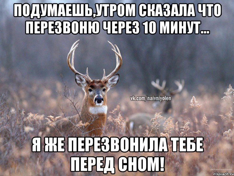 Подумаешь,утром сказала что перезвоню через 10 минут... Я же перезвонила тебе перед сном!, Мем   Наивный олень