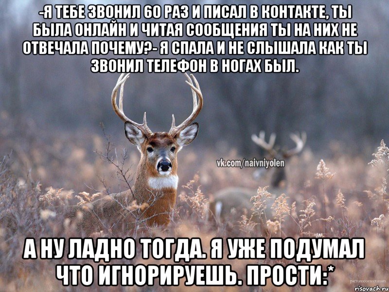 -Я тебе звонил 60 раз и писал в контакте, ты была онлайн и читая сообщения ты на них не отвечала почему?- Я спала и не слышала как ты звонил телефон в ногах был. А ну ладно тогда. Я уже подумал что игнорируешь. Прости:*, Мем   Наивный олень