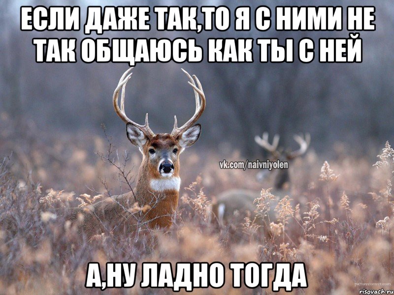 если даже так,то я с ними не так общаюсь как ты с ней а,ну ладно тогда, Мем   Наивный олень