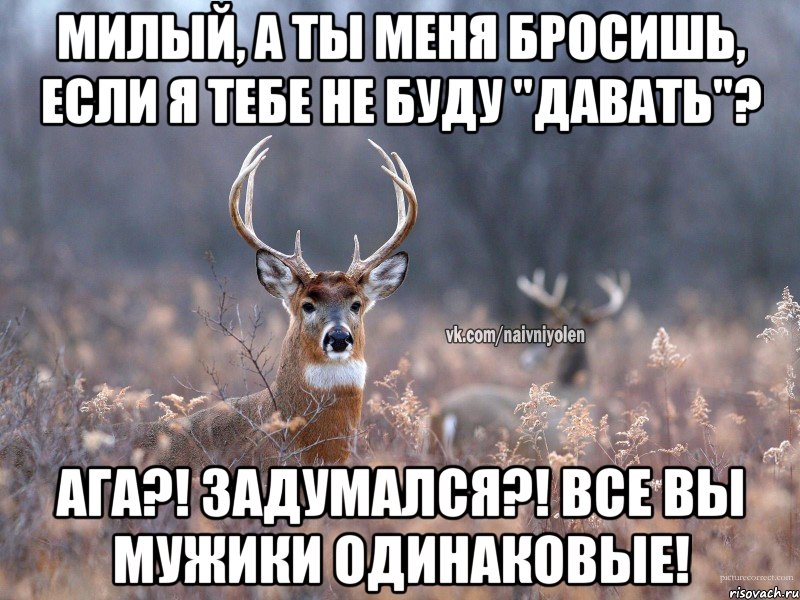 Милый, а ты меня бросишь, если я тебе не буду "давать"? Ага?! Задумался?! Все вы мужики одинаковые!, Мем   Наивный олень