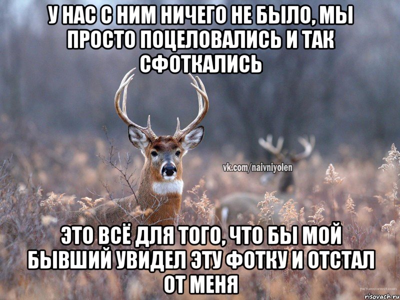 У нас с ним ничего не было, мы просто поцеловались и так сфоткались Это всё для того, что бы мой бывший увидел эту фотку и отстал от меня, Мем   Наивный олень