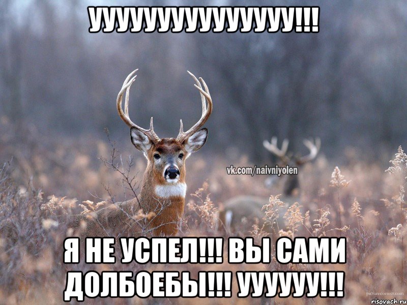 Ууууууууууууууу!!! Я не успел!!! Вы сами долбоебы!!! Уууууу!!!, Мем   Наивный олень