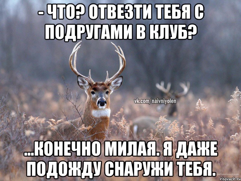 - Что? Отвезти тебя с подругами в клуб? ...Конечно милая. Я даже подожду снаружи тебя., Мем   Наивный олень