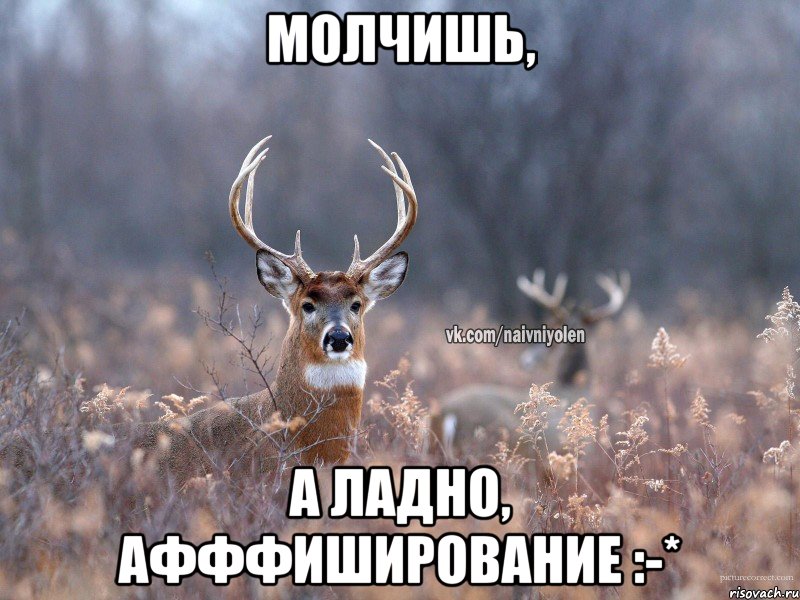 Молчишь, А ладно, афффиширование :-*, Мем   Наивный олень