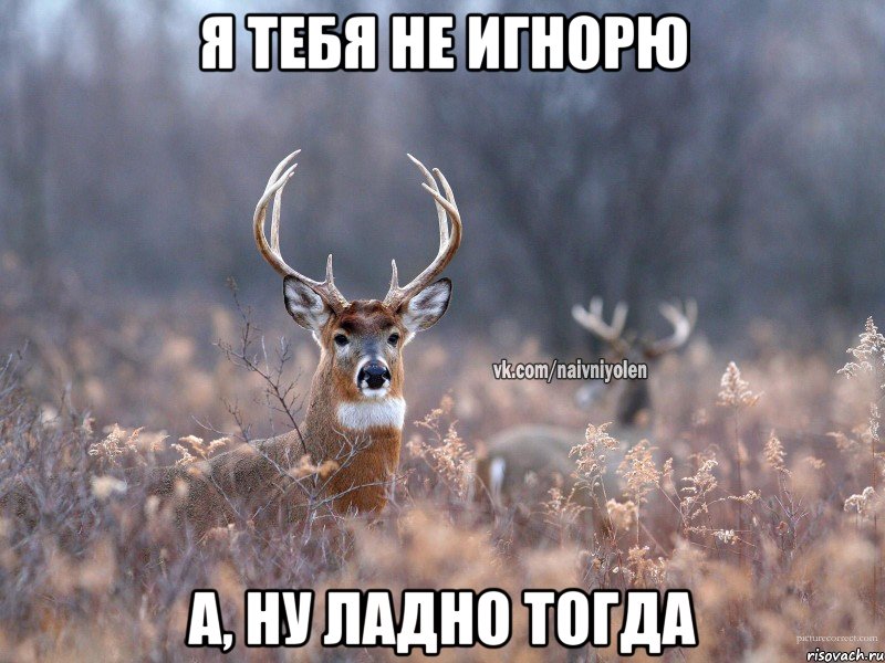 я тебя не игнорю а, ну ладно тогда, Мем   Наивный олень