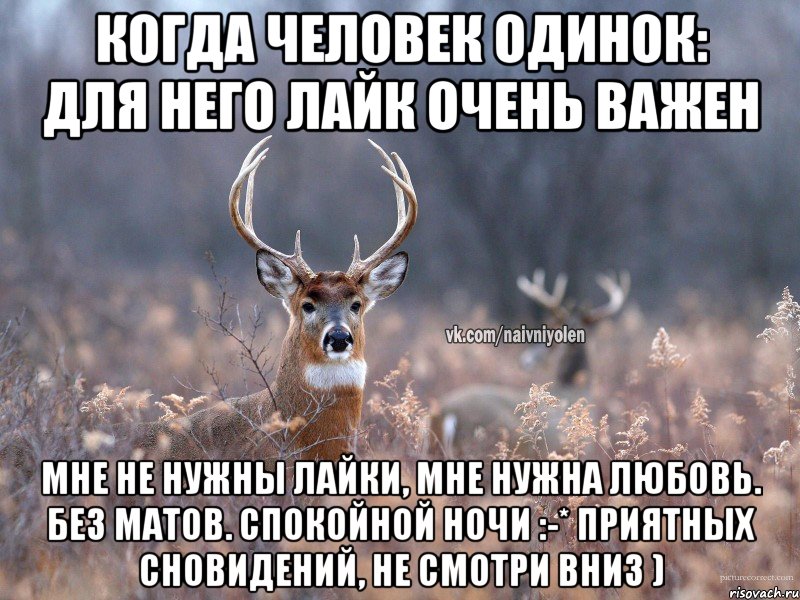 Когда человек одинок: для него лайк очень важен Мне не нужны лайки, мне нужна любовь. Без матов. Спокойной ночи :-* приятных сновидений, не смотри вниз ), Мем   Наивный олень