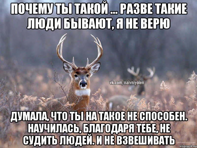 Почему ты такой ... разве такие люди бывают, я не верю Думала, что ты на такое не способен. Научилась, благодаря тебе, не судить людей. И не взвешивать, Мем   Наивный олень