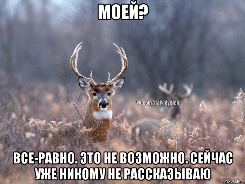 Моей? Все-равно. Это не возможно. Сейчас уже никому не рассказываю, Мем   Наивный олень