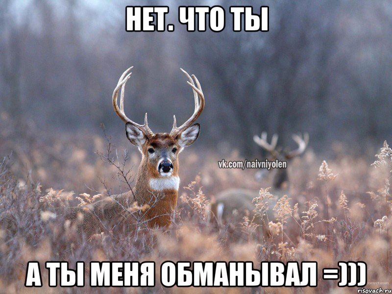 Нет. Что ты А ты меня обманывал =))), Мем   Наивный олень