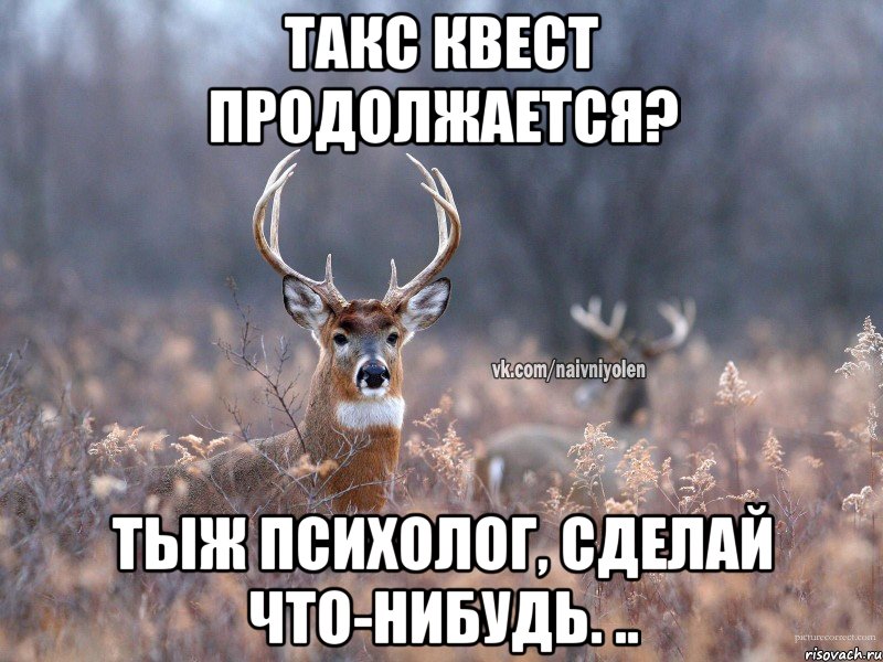 Такс квест продолжается? Тыж психолог, сделай что-нибудь. .., Мем   Наивный олень