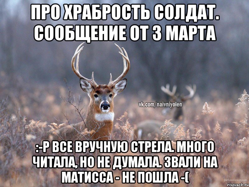 Про храбрость солдат. Сообщение от 3 марта :-Р Все вручную стрела. Много читала, но не думала. Звали на Матисса - не пошла -(, Мем   Наивный олень