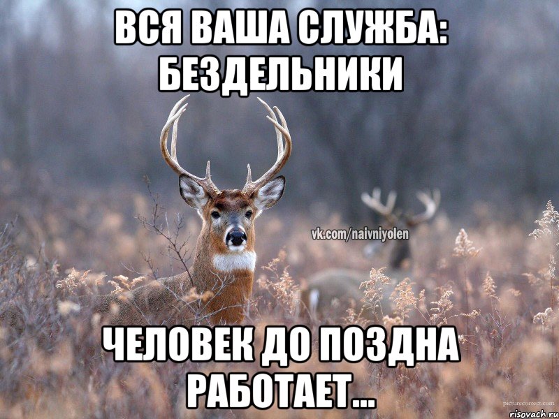 Вся ваша служба: бездельники Человек до поздна работает..., Мем   Наивный олень