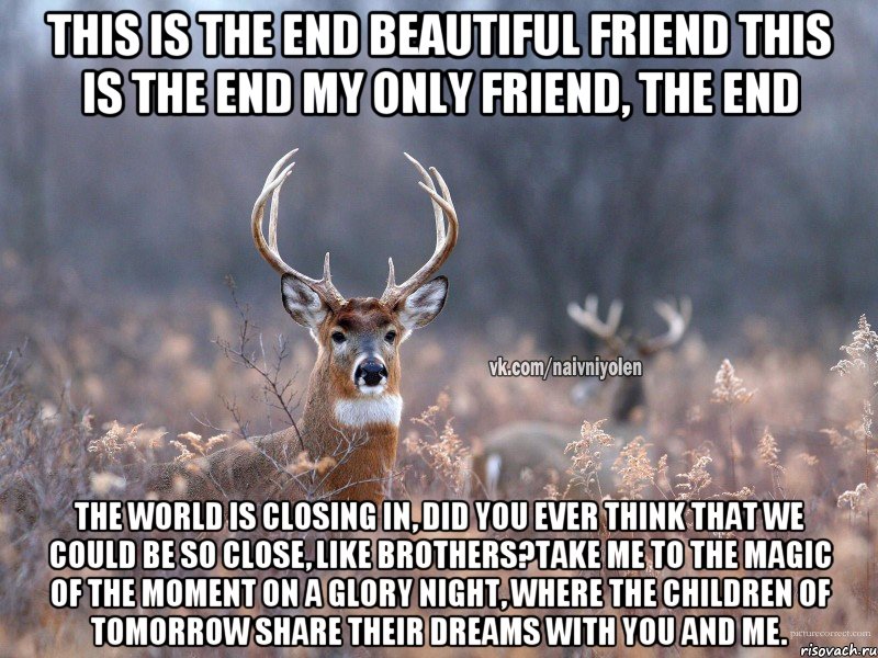 This is the end Beautiful friend This is the end My only friend, the end The world is closing in, Did you ever think that we could be so close, like brothers?Take me to the magic of the moment on a glory night, Where the children of tomorrow share their dreams with you and me., Мем   Наивный олень