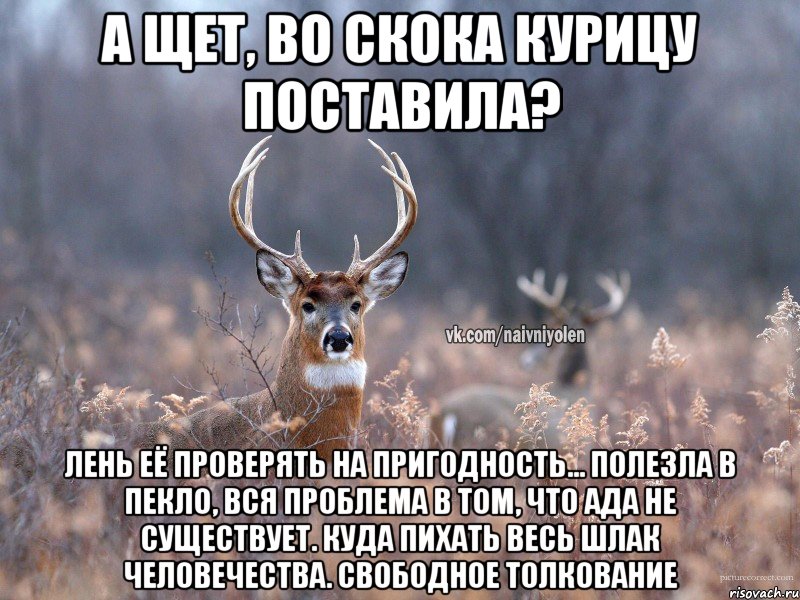 А щет, во скока курицу поставила? Лень её проверять на пригодность... Полезла в пекло, вся проблема в том, что ада не существует. Куда пихать весь шлак человечества. Свободное толкование, Мем   Наивный олень