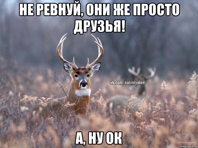 Не ревнуй, они же просто друзья! А, ну ок, Мем   Наивный олень