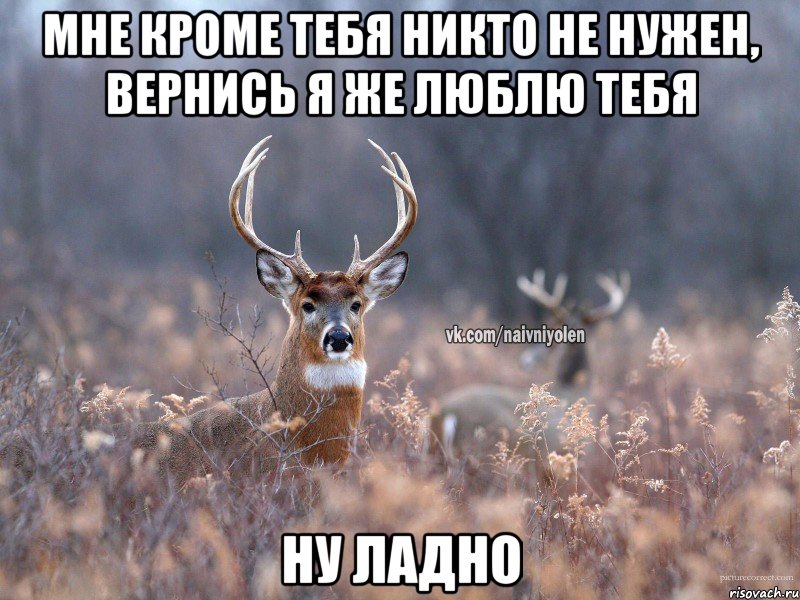 Мне кроме тебя никто не нужен, вернись я же люблю тебя Ну ладно, Мем   Наивный олень