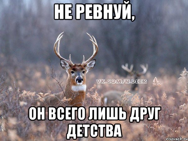 не ревнуй, он всего лишь друг детства, Мем   Наивный олень