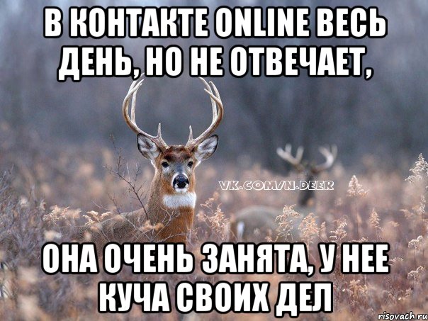 в контакте online весь день, но не отвечает, она очень занята, у нее куча своих дел, Мем   Наивный олень