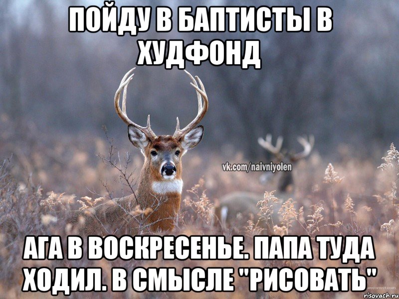 Пойду в баптисты в худфонд Ага в воскресенье. Папа туда ходил. В смысле "рисовать", Мем   Наивный олень