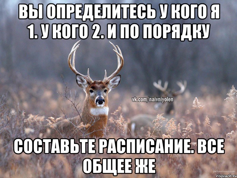 Вы определитесь у кого я 1. У кого 2. И по порядку Составьте расписание. Все общее же, Мем   Наивный олень