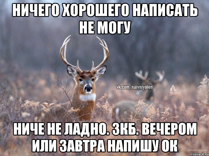 Ничего хорошего написать не могу Ниче не ладно. Зкб. Вечером или завтра напишу ок, Мем   Наивный олень