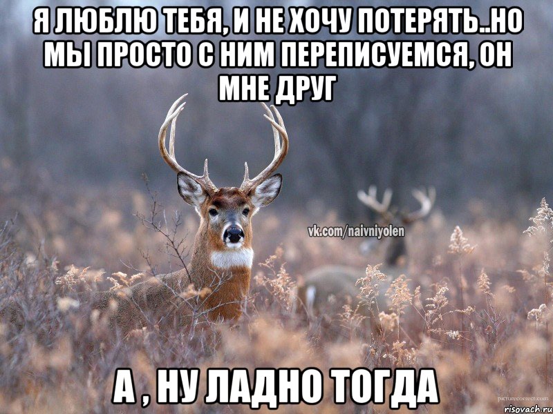 я люблю тебя, и не хочу потерять..Но мы просто с ним переписуемся, он мне друг а , ну ладно тогда, Мем   Наивный олень