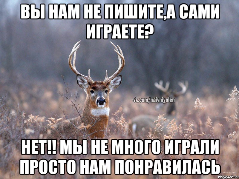 Вы нам не пишите,а сами играете? Нет!! Мы не много играли просто нам понравилась, Мем   Наивный олень