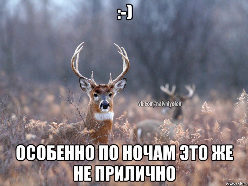 :-) Особенно по ночам это же не прилично, Мем   Наивный олень