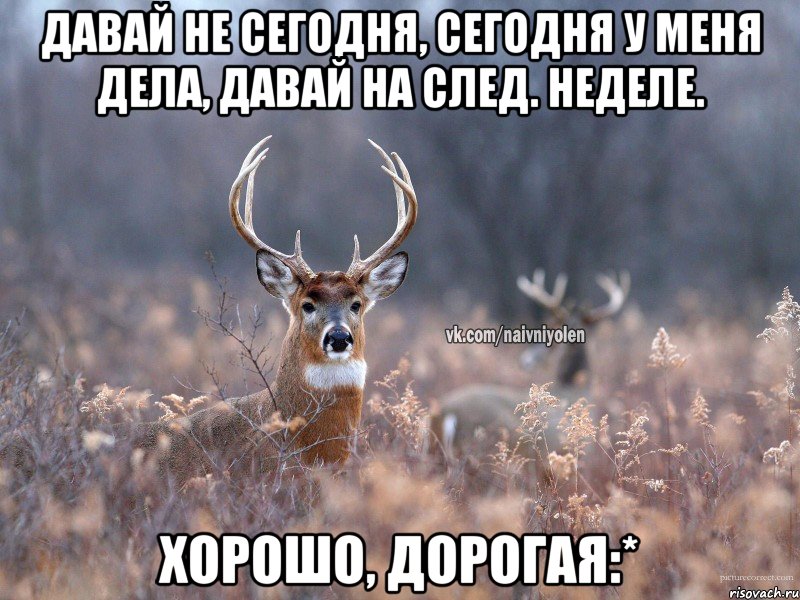 Давай не сегодня, сегодня у меня дела, давай на след. неделе. Хорошо, дорогая:*, Мем   Наивный олень