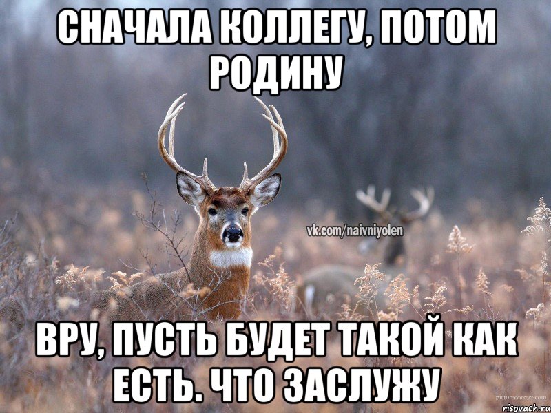 Сначала коллегу, потом Родину Вру, пусть будет такой как есть. Что заслужу, Мем   Наивный олень