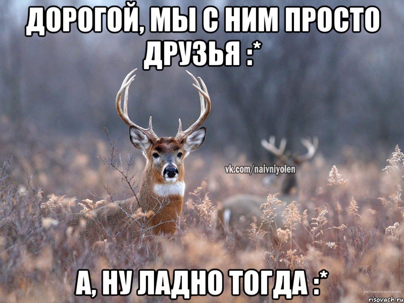 Дорогой, мы с ним просто друзья :* А, ну ладно тогда :*, Мем   Наивный олень