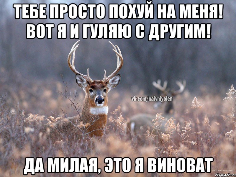 Тебе просто похуй на меня! Вот я и гуляю с другим! Да милая, это я виноват, Мем   Наивный олень