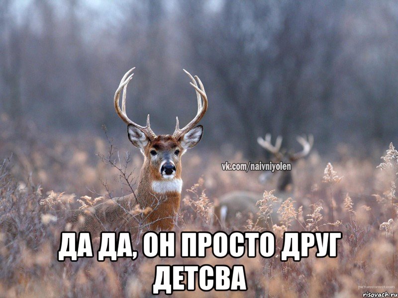  да да, он просто друг детсва, Мем   Наивный олень