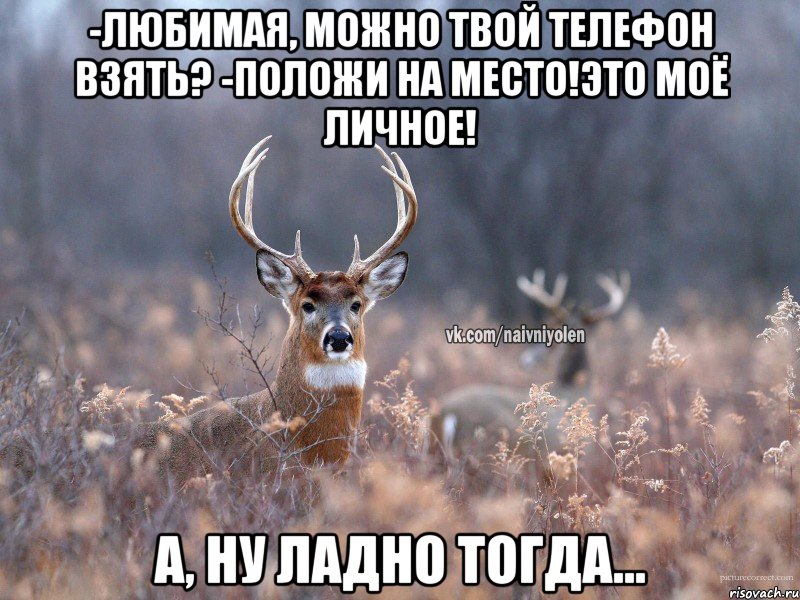 -ЛЮБИМАЯ, МОЖНО ТВОЙ ТЕЛЕФОН ВЗЯТЬ? -ПОЛОЖИ НА МЕСТО!ЭТО МОЁ ЛИЧНОЕ! А, НУ ЛАДНО ТОГДА..., Мем   Наивный олень