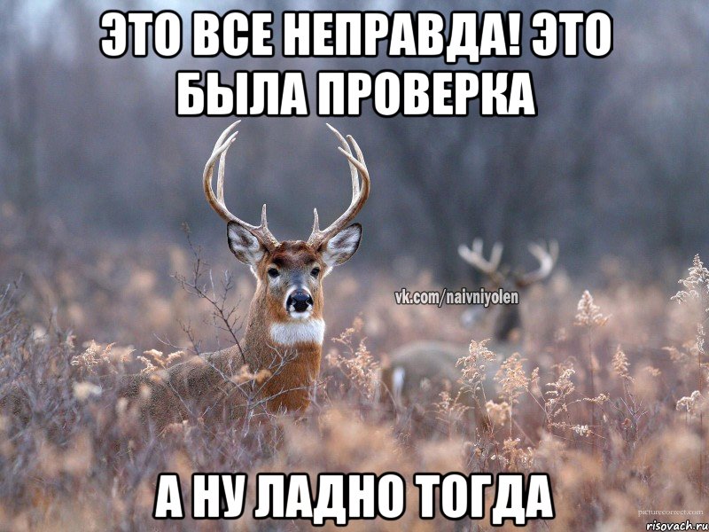 Это все неправда! Это была проверка А ну ладно тогда, Мем   Наивный олень