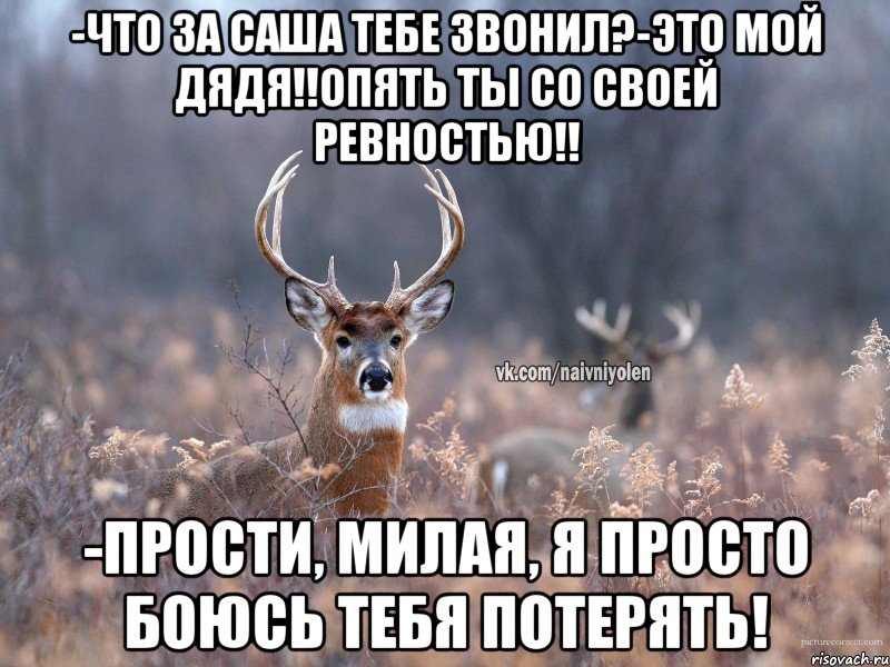 -Что за Саша тебе звонил?-Это мой дядя!!опять ты со своей ревностью!! -прости, милая, я просто боюсь тебя потерять!, Мем   Наивный олень