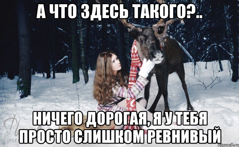 а что здесь такого?.. ничего дорогая, я у тебя просто слишком ревнивый, Мем Наивный олень с девушкой