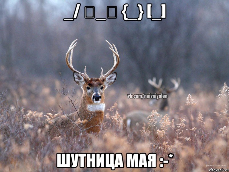 _/ 《_》 {_} [_] Шутница мая :-*, Мем   Наивный олень