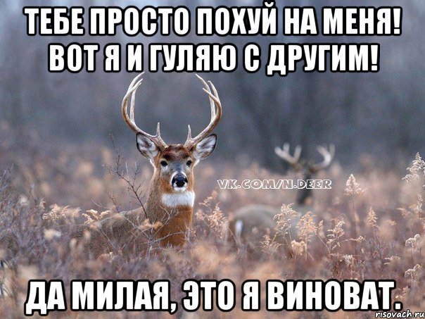 тебе просто похуй на меня! вот я и гуляю с другим! да милая, это я виноват., Мем   Наивный олень