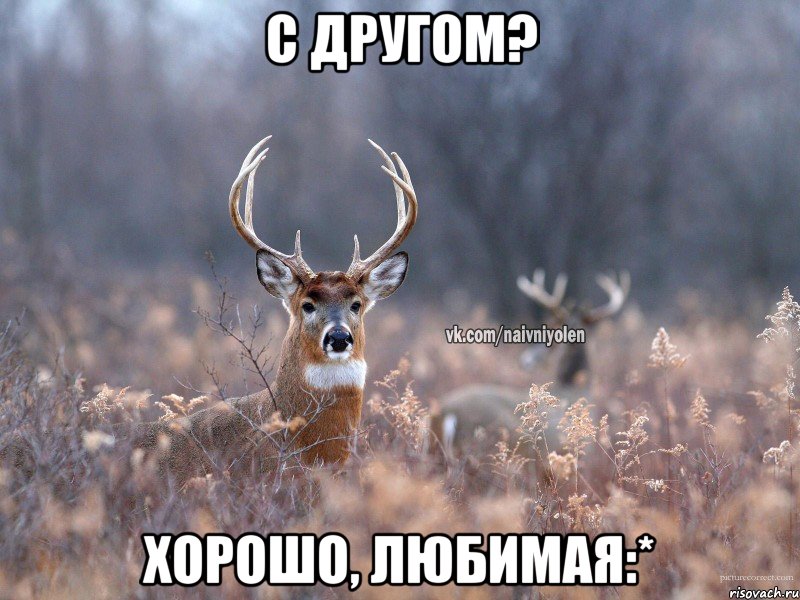 С другом? Хорошо, любимая:*, Мем   Наивный олень