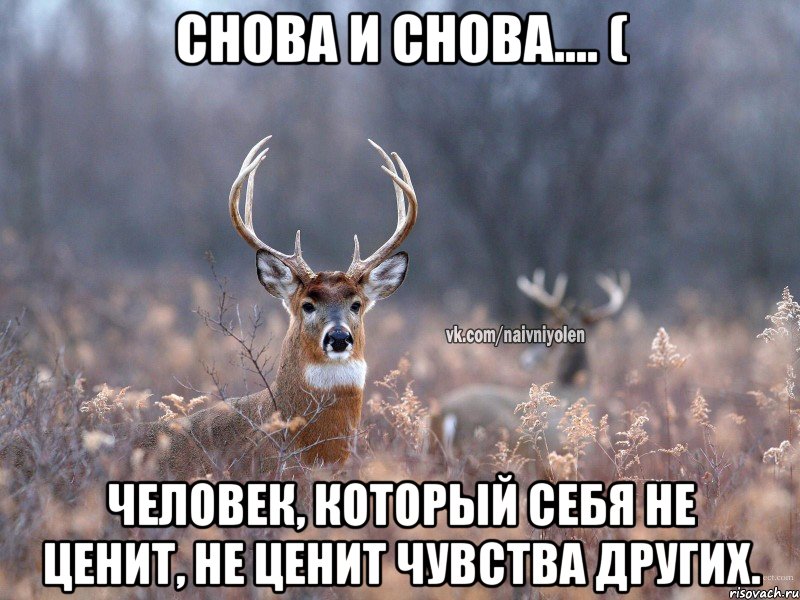 Снова и снова.... ( Человек, который себя не ценит, не ценит чувства других., Мем   Наивный олень