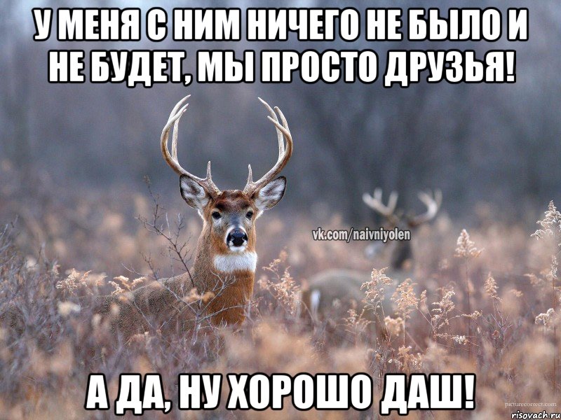 У меня с ним ничего не было и не будет, мы просто друзья! А да, ну хорошо Даш!, Мем   Наивный олень