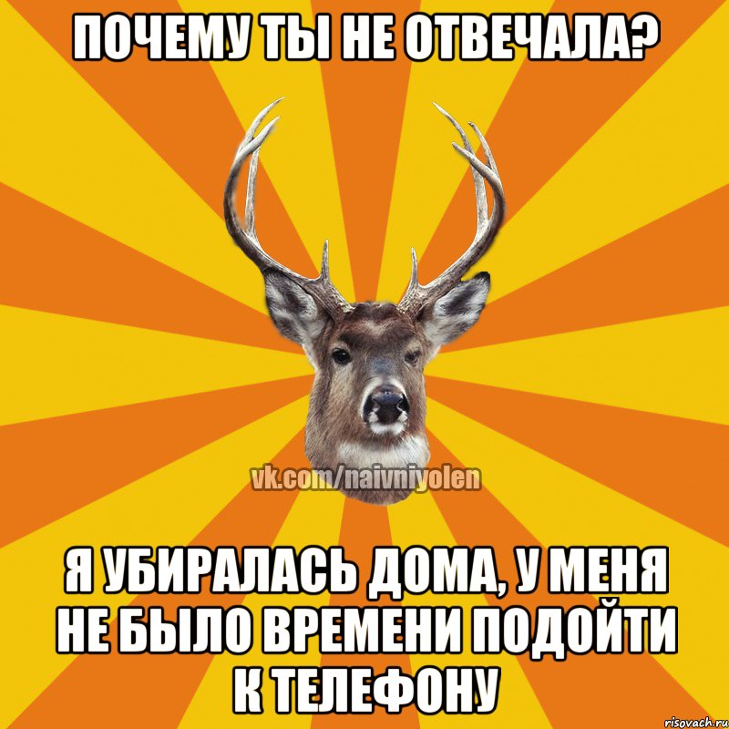 Почему ты не отвечала? Я убиралась дома, у меня не было времени подойти к телефону, Мем Наивный Олень вк