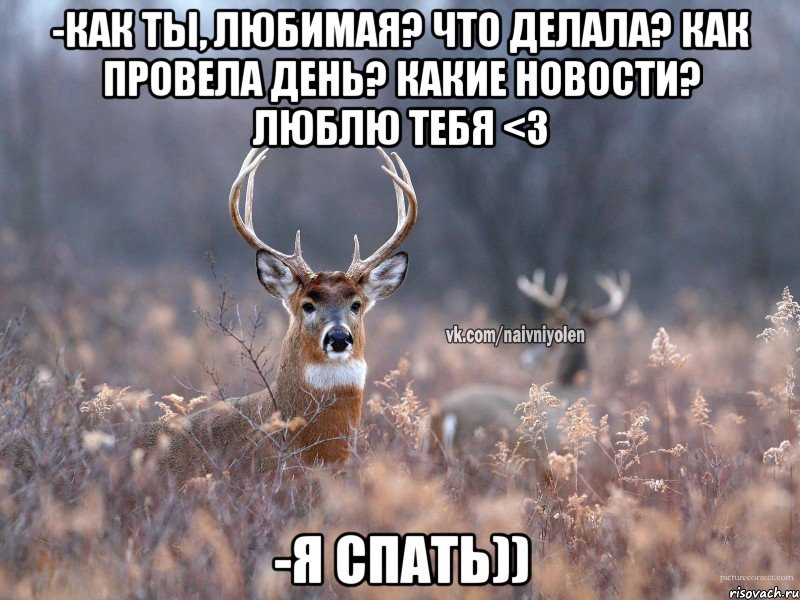 -Как ты, любимая? Что делала? Как провела день? Какие новости? Люблю тебя <3 -Я спать)), Мем   Наивный олень